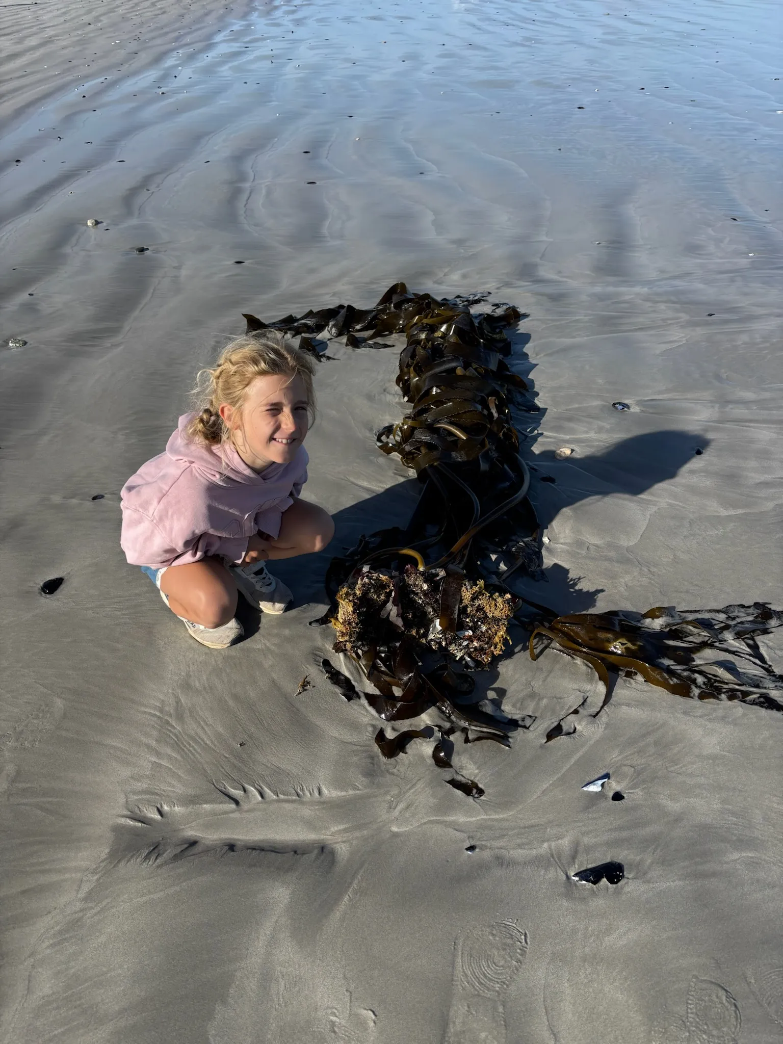 Merle hält riesigen Seetang am Strand