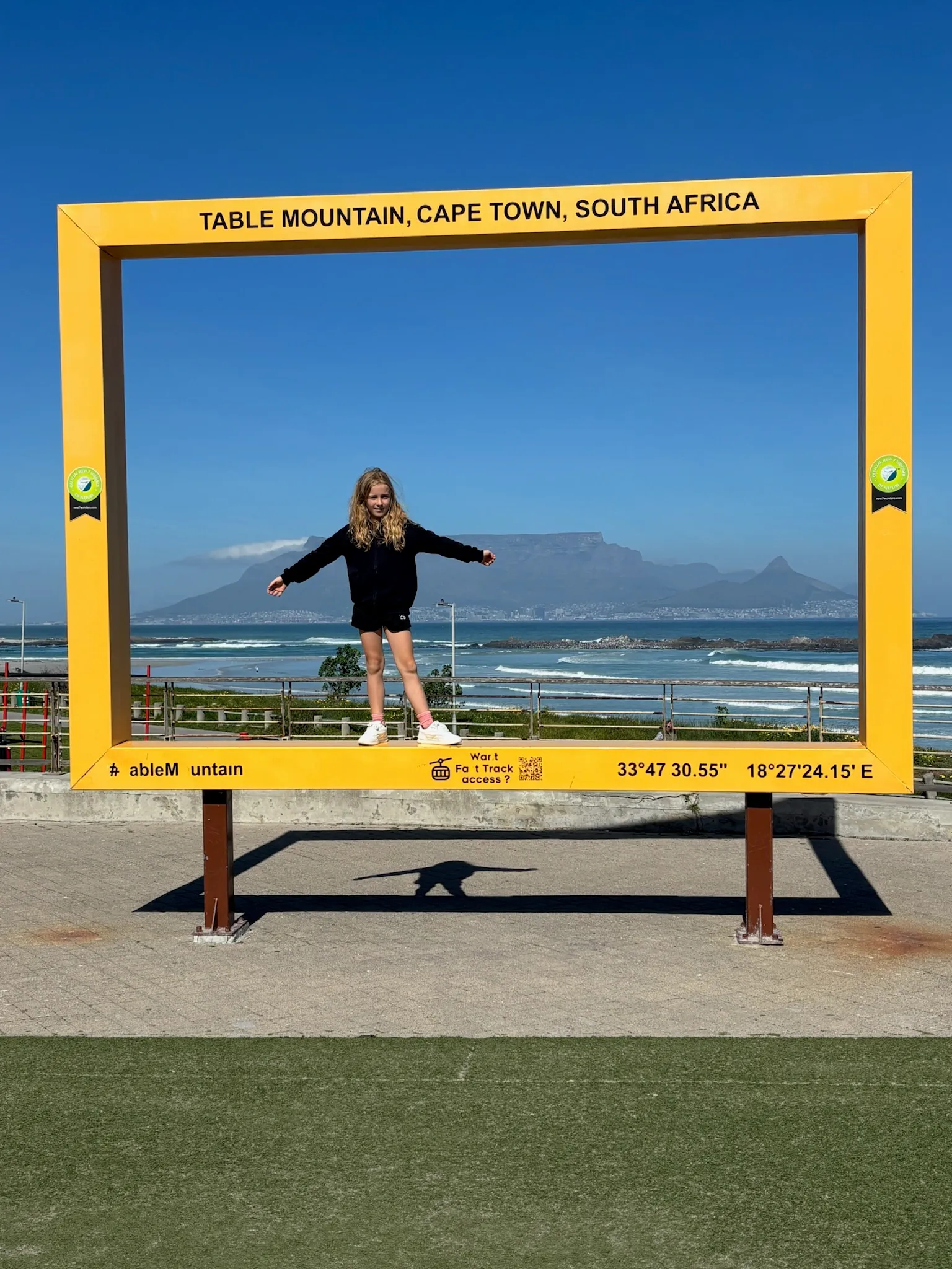 Merle in einem gelben Bilderrahmen vor dem Tafelberg